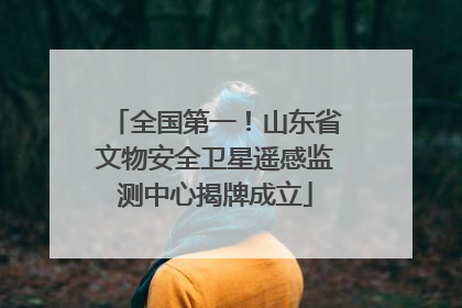 全国第一！山东省文物安全卫星遥感监测中心揭牌成立